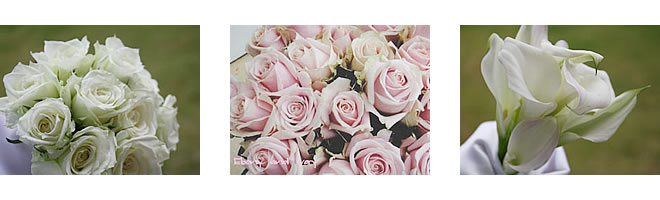 Bridal Flower ブライダル